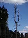 Rhön